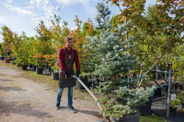 Tree Branch Trimming in Coudersport, PA